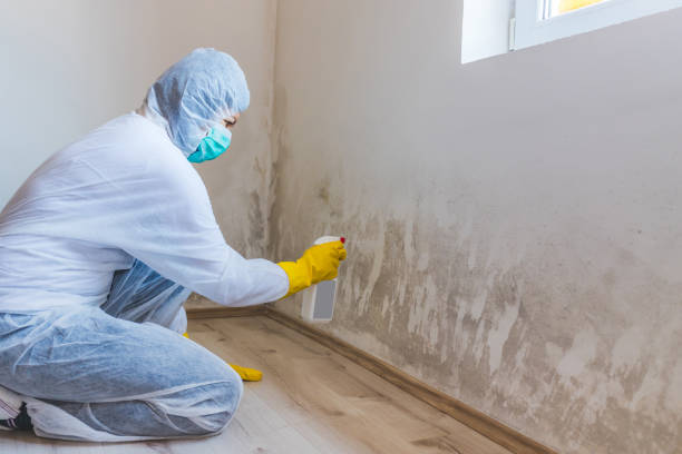 Hvac And Air Duct Mold Remediation inspection of HVAC system in Windsor Mill